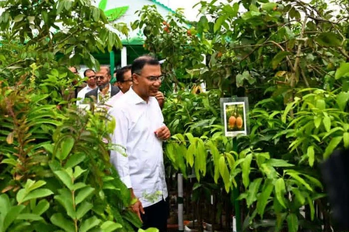 শুধু গাছ লাগালেই হবে না, তা বাঁচিয়ে রাখাও জরুরি: প্রধানমন্ত্রী